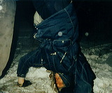 Size=50339, height=573 width=681