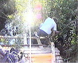 Size=112969, height=560 width=693