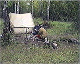 ������ �� �������