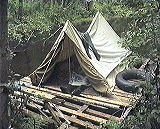 ��������� ���� �������