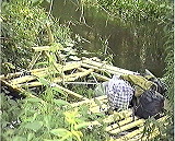 ���� ������� ���