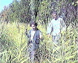 Size=133910, height=560 width=693