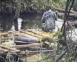 ������ ����� ���������