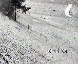 Size=35892, height=279 width=340