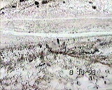 Size=37881, height=278 width=343