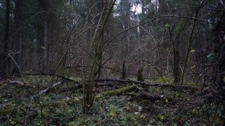 Size=1447 kB, height=899 width=1600