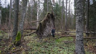 Size=1816 kB, height=899 width=1600