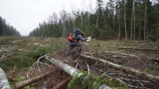 ��� 2011 �����. ������� LiR (#59)"