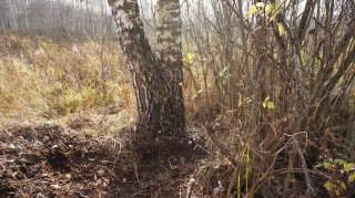 Size=1831 kB, height=899 width=1600