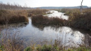 Size=1448 kB, height=899 width=1600