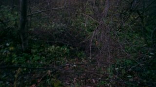 Size=841 kB, height=899 width=1600